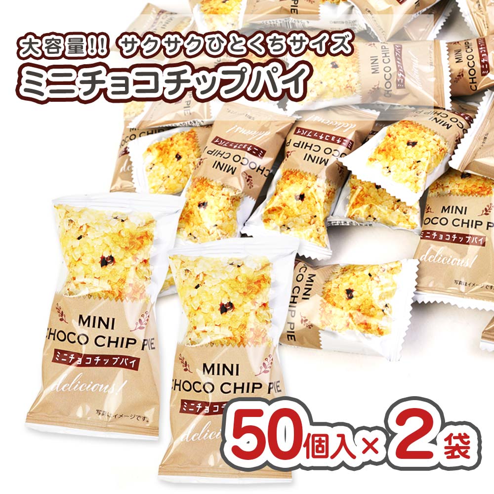 BIG大昭和　チップ100個 5種類にて BIG大昭和 チップ100個 5種類にて（チップブロワー | 大昭和精機