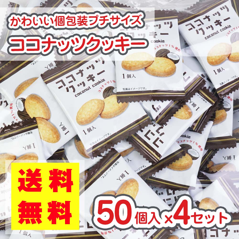 送料無料 ココナッツクッキー (50個入) 駄菓子 まとめ買い ビスケット クッキー お菓子 おつまみ 景品 縁日 お祭り個包装 おやつ リアライズ